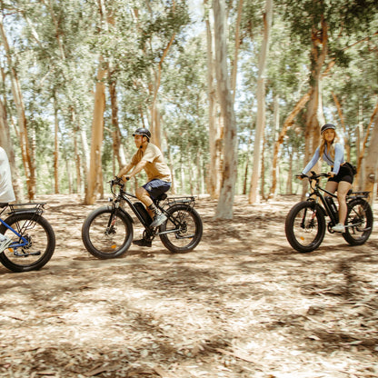 EB26 Electric Bike for Adults Set of 2, 26" Fat Tire E-Mountain Bicycle, 750W Dual Motor 48V 15Ah 7-Speed Ebike UL2849