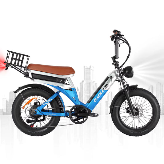 2000W Peak Cargo Electric Bike for Adults with Dual 15Ah Batteries(30Ah) Shima 7 Speed 80Miles-150Miles Long Range Electric Bike