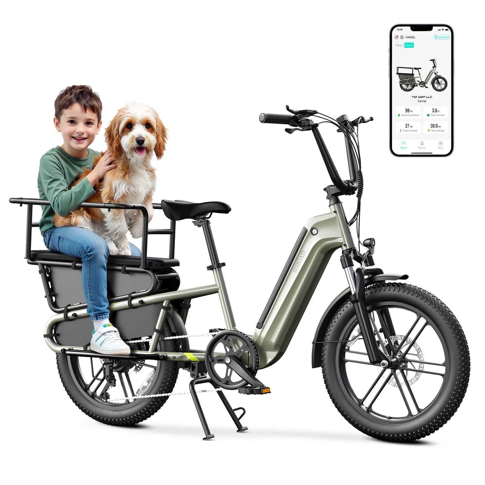 Electric Bike for Adults, Peak 1500W Motor, E Mountain Bike, 20'' Fat Tire Ebike, Fast Cargo Ebikes, Electric Bicycle 48V/500Wh UL2849
