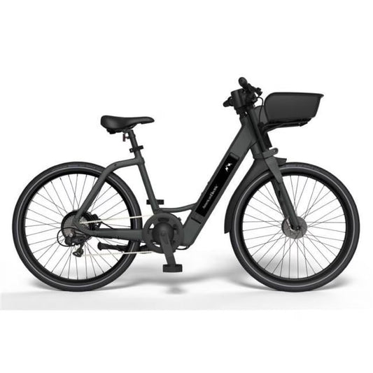 20" Electric Step-Through Bicycle, 350W