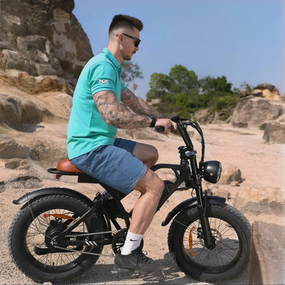 20"X 4.0 Fat Tire Electric Bicycle,1000W Peak Motor E-Bike Adults, 65 Miles Electric Bike with 20Mph,Dual Shock Absorber, 7-Speed,, 42V 10.4Ah Removable Battery