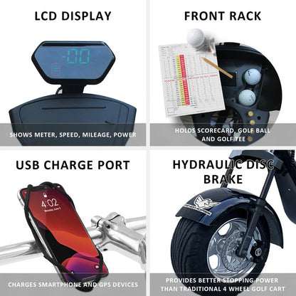 D2 Electric Bike Moped for Adults Fat Tire Golf Cart 2000W Motor 80-Mile Range 20MPH Top Speed Dual Batteries Hydraulic Brakes Motorcycles