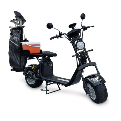D2 Electric Bike Moped for Adults Fat Tire Golf Cart 2000W Motor 80-Mile Range 20MPH Top Speed Dual Batteries Hydraulic Brakes Motorcycles