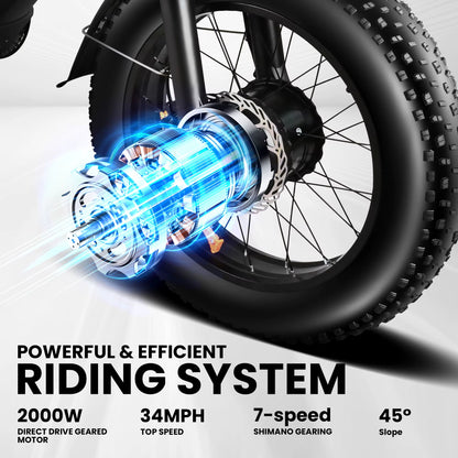 2000W Peak Cargo Electric Bike for Adults with Dual 15Ah Batteries(30Ah) Shima 7 Speed 80Miles-150Miles Long Range Electric Bike