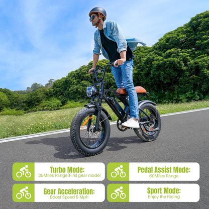 20"X 4.0 Fat Tire Electric Bicycle,1000W Peak Motor E-Bike Adults, 65 Miles Electric Bike with 20Mph,Dual Shock Absorber, 7-Speed,, 42V 10.4Ah Removable Battery