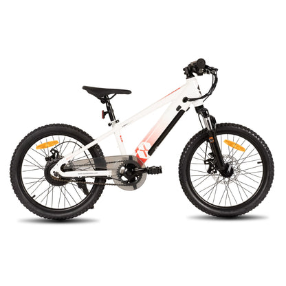 Electric Bike for Kids Teens Ages 7+ with 250W Motor, 15 Miles 15MPH Electric Mountain Bicycle Safe Mini E Bikes