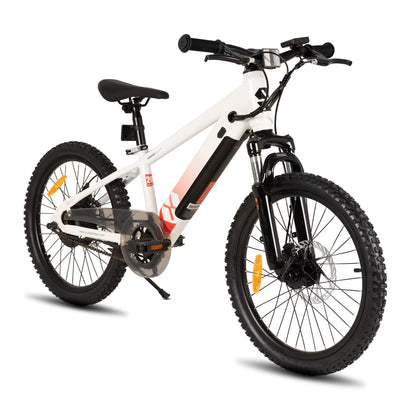 Electric Bike for Kids Teens Ages 7+ with 250W Motor, 15 Miles 15MPH Electric Mountain Bicycle Safe Mini E Bikes
