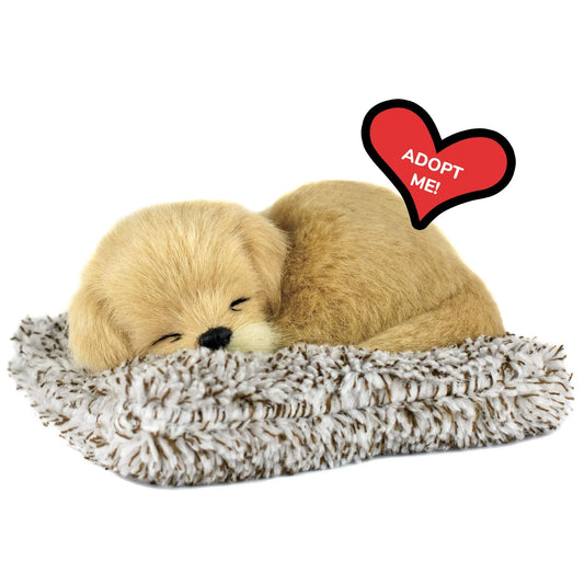 Mini Golden Retriever, Realistic, Lifelike Stuffed Interactive Plush Toy, Electronic Pets, Companion Pet Puppy with 100% Synthetic Fur –