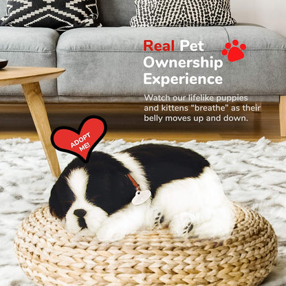 Border Collie, Toys for Kids and Elderly, Realistic Dog Stuffed Animals, Battery-Operated Stuffed Dog, Companion Interactive Pets with Synthetic Fur