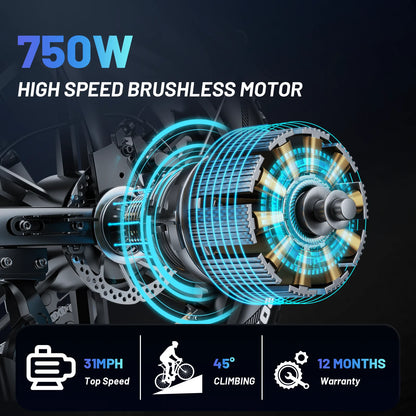 Electric Bike for Adults, 750W Ebike with 48V 20Ah Battery, 31MPH Electric Bicycles, 20'' Fat Tire Ebike, Hydraulic Brake Mountain Bike, 7 Speed Bicicleta Eléctrica Para Adultos, E-Bike UL2849